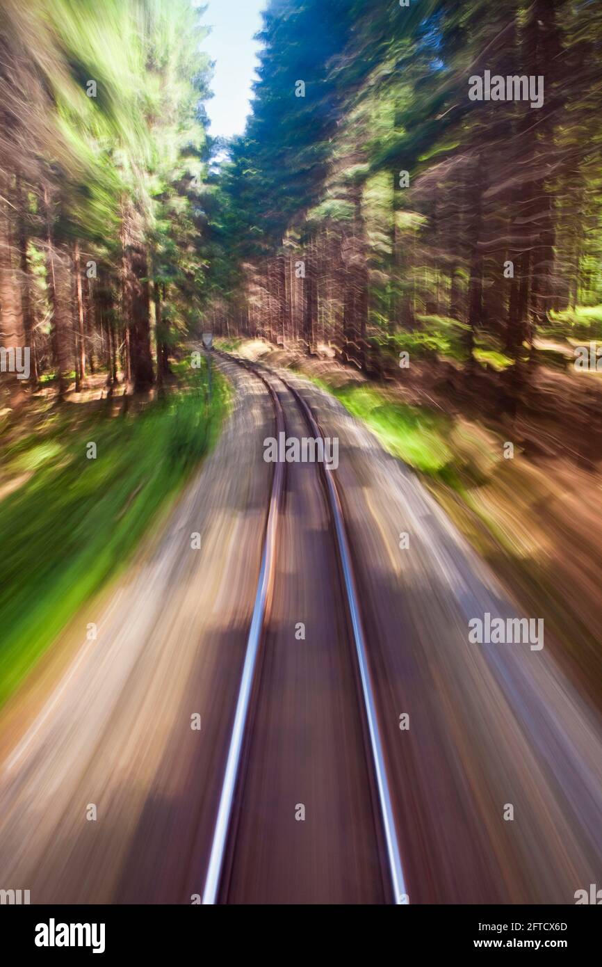 View of narrow gauge railroad track from rear window of train riding through forest Stock Photo