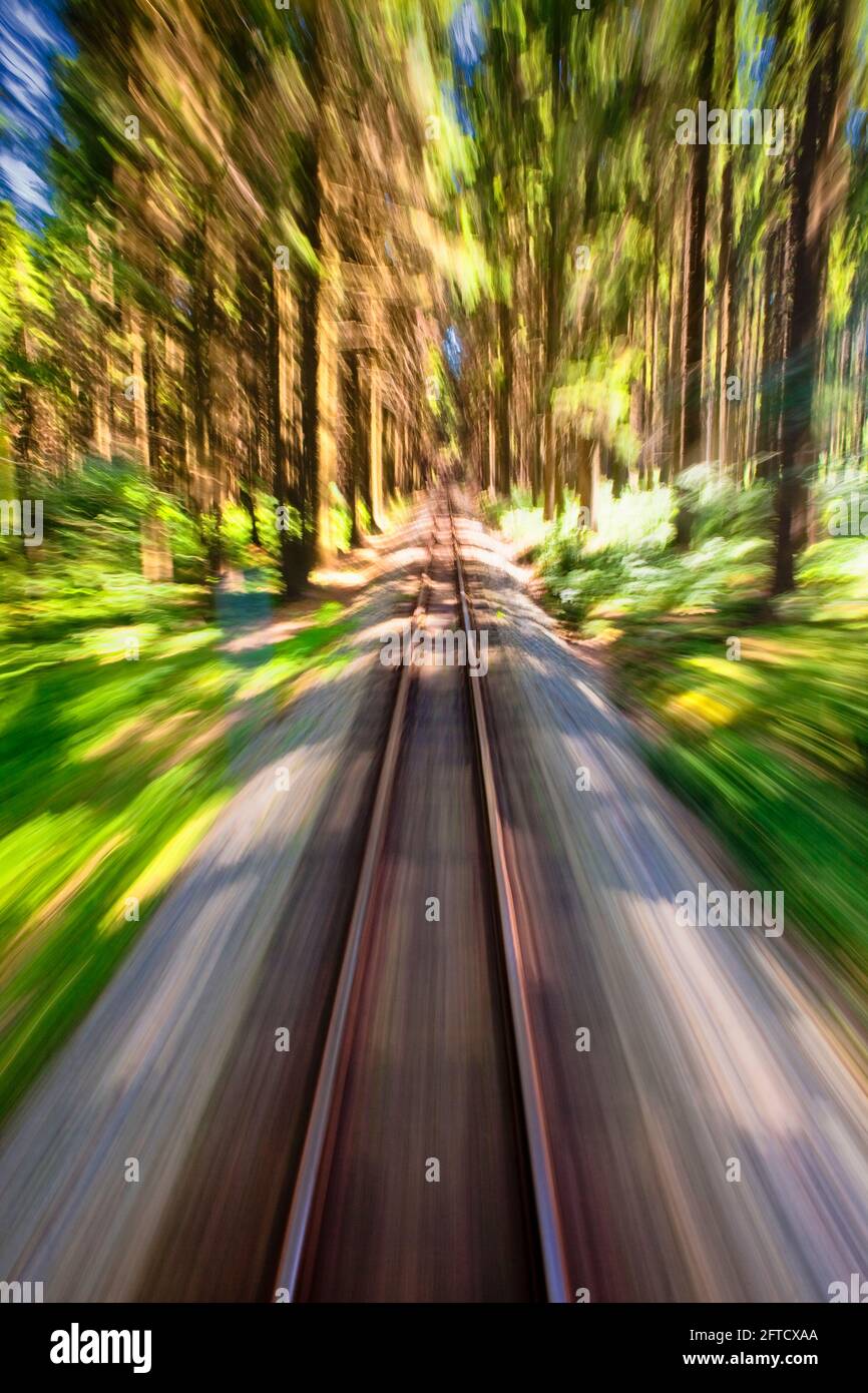 View of narrow gauge railroad track from rear window of train riding through forest Stock Photo