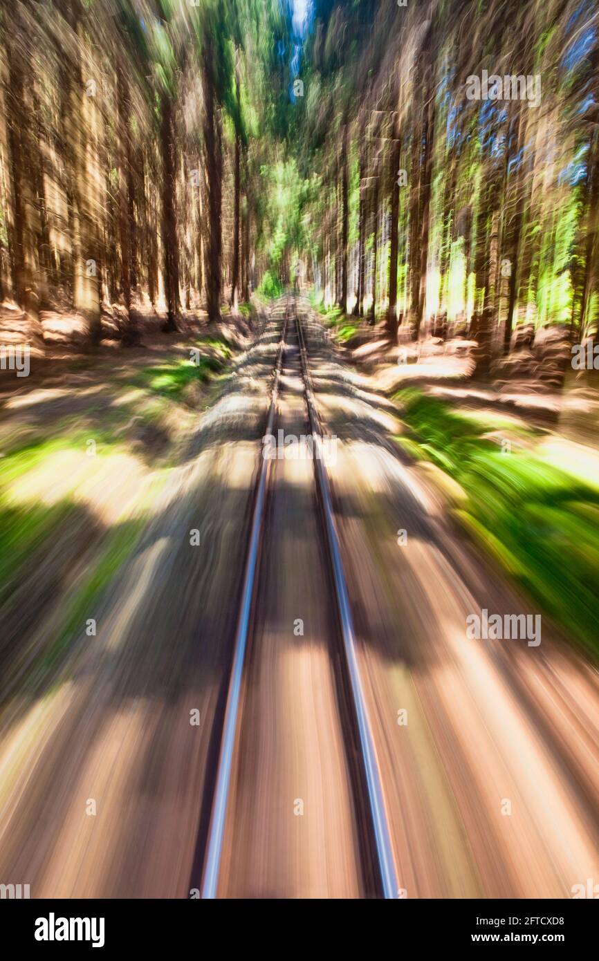 View of narrow gauge railroad track from rear window of train riding through forest Stock Photo