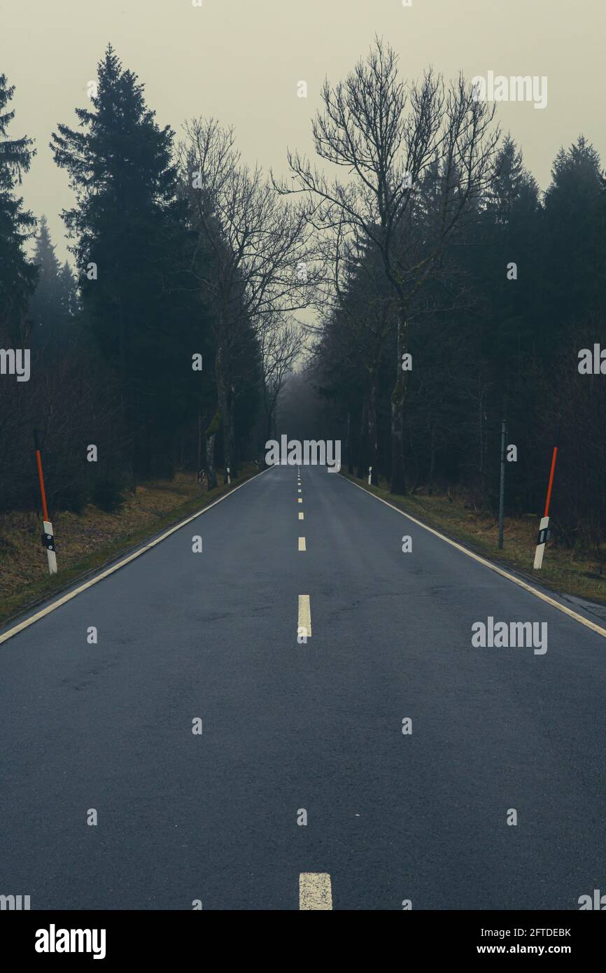 dark road leading through foggy forest Stock Photo - Alamy