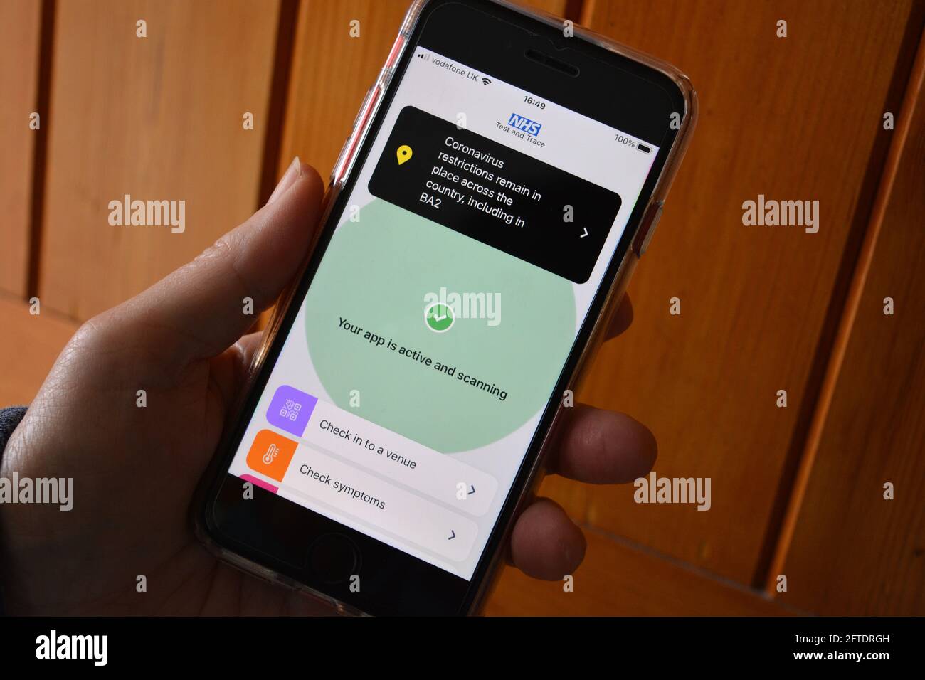 Woman checking the NHS Covid19 test and trace app on her smartphone, showing screen with app