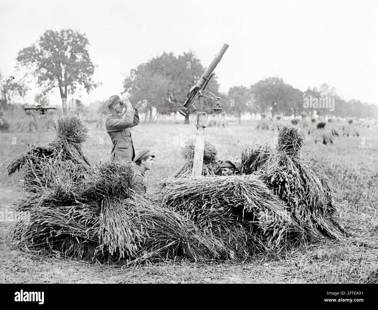 World War One, WWI, Western Front - An anti-aircraft gun in the harvest, France Stock Photo