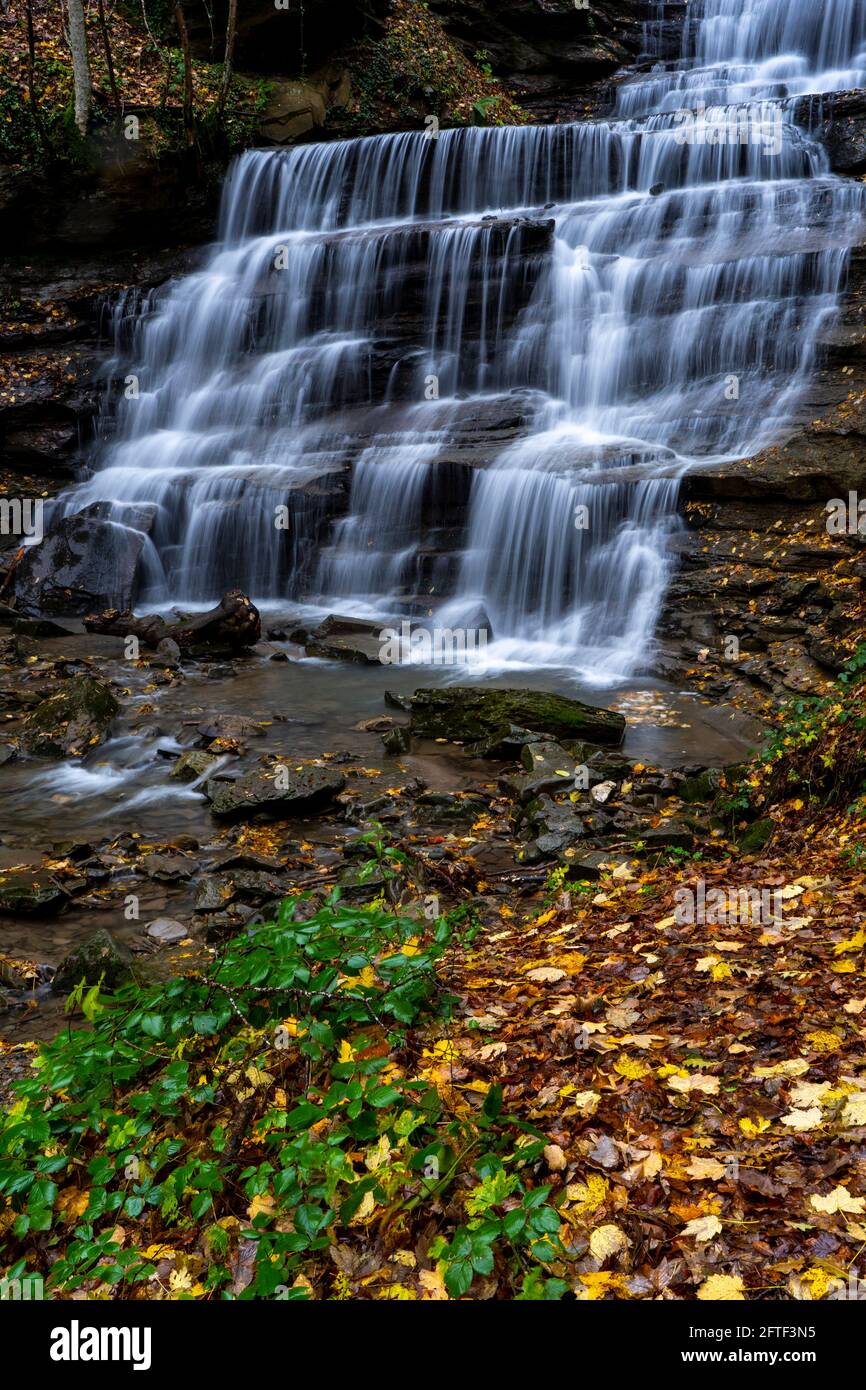 Foreste Casentinesi National Park, Badia Prataglia, Tuscany, Italy, Europe.  The waterfall callad Le tre cascate Stock Photo - Alamy