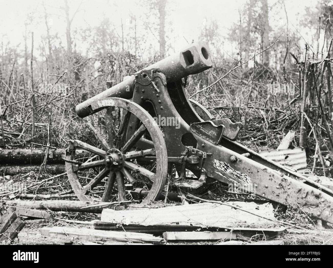 World War One, WWI, Western Front - Captured gun in Mametz Wood, France Stock Photo