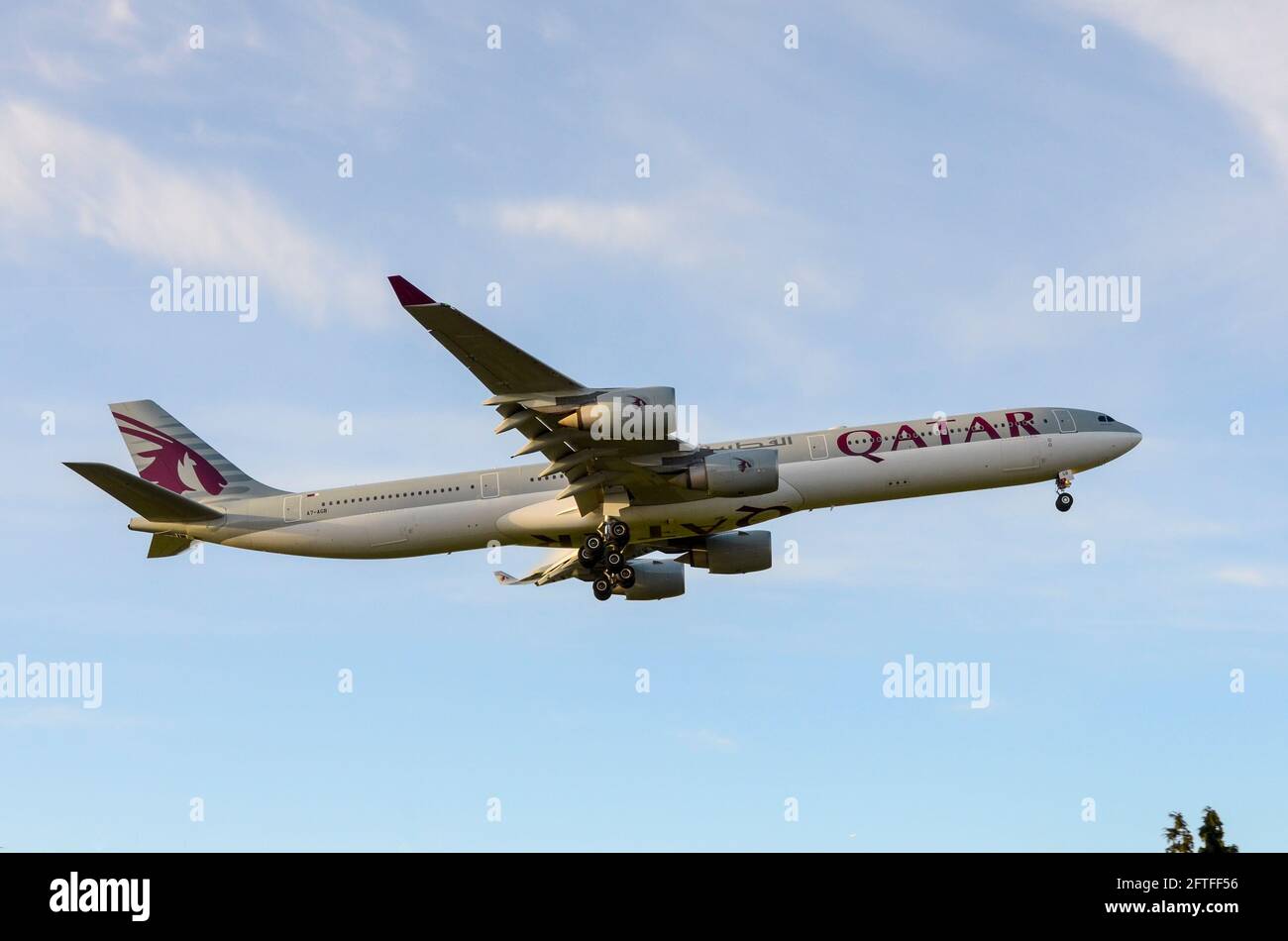 Qatar Airways Airbus A340 airliner jet plane A7-AGB landing at London Heathrow Airport, UK, in blue sky. Arrival in early evening Stock Photo