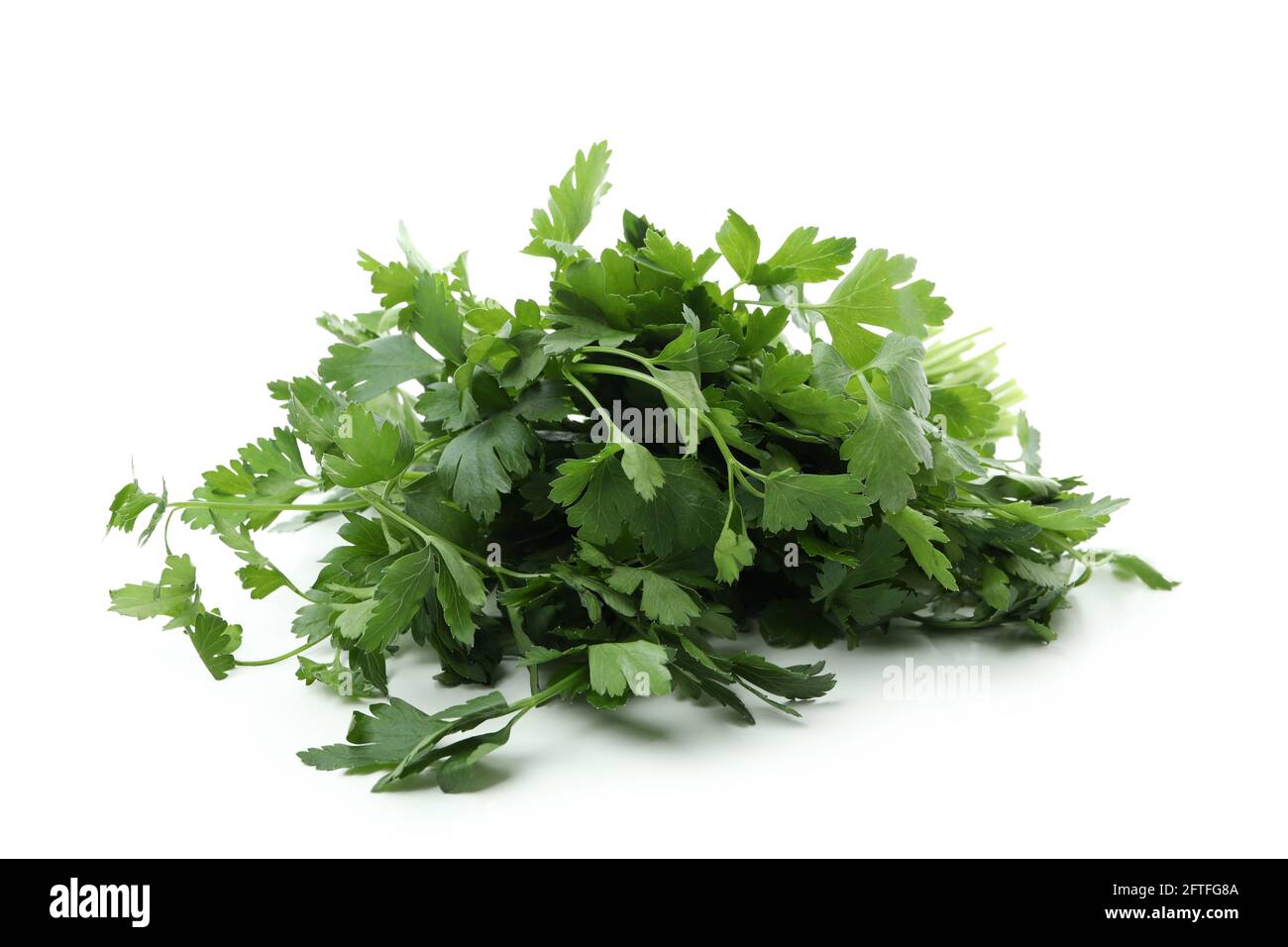 Fresh green parsley isolated on white background Stock Photo - Alamy