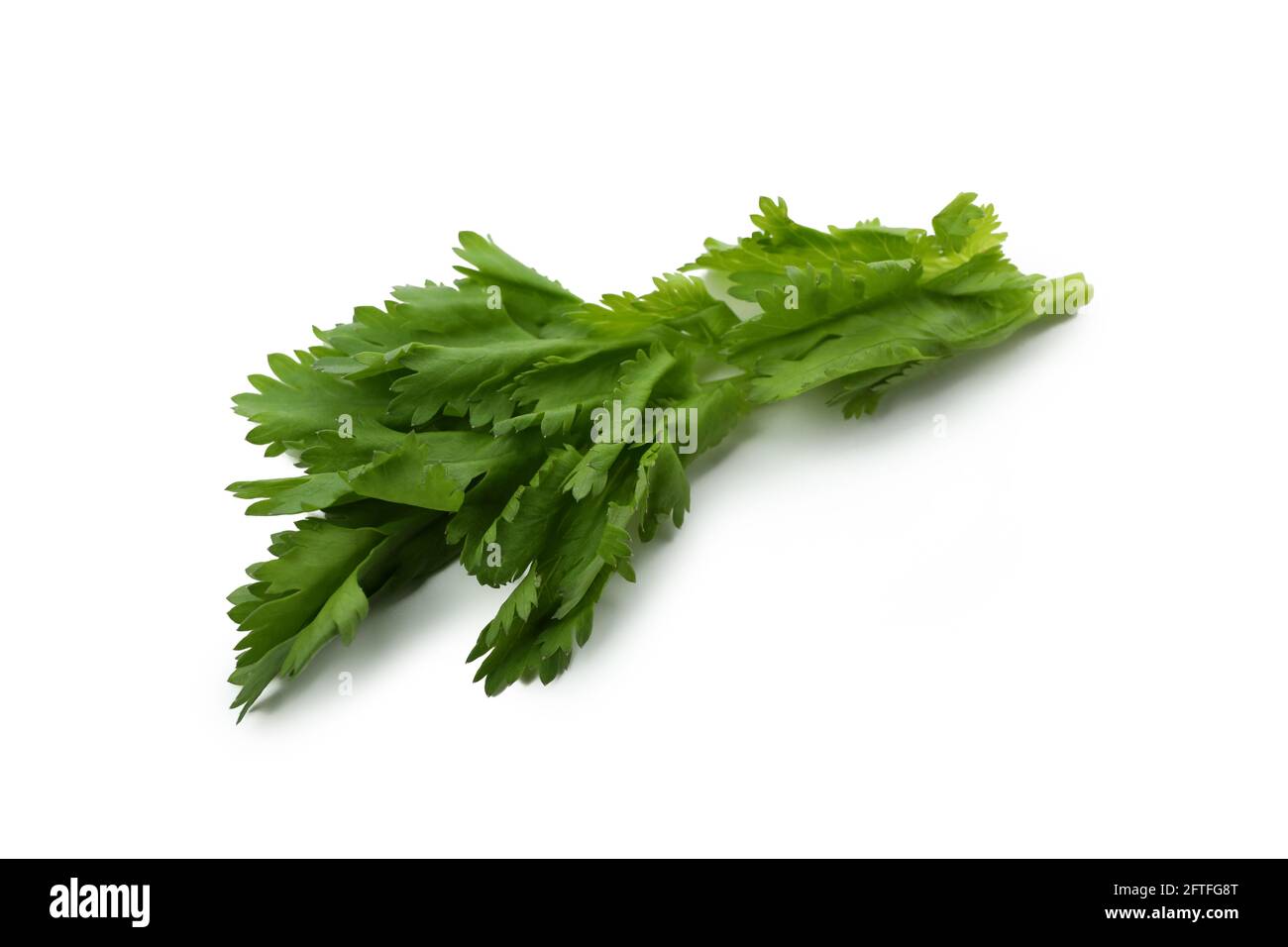 Fresh green parsley isolated on white background Stock Photo - Alamy