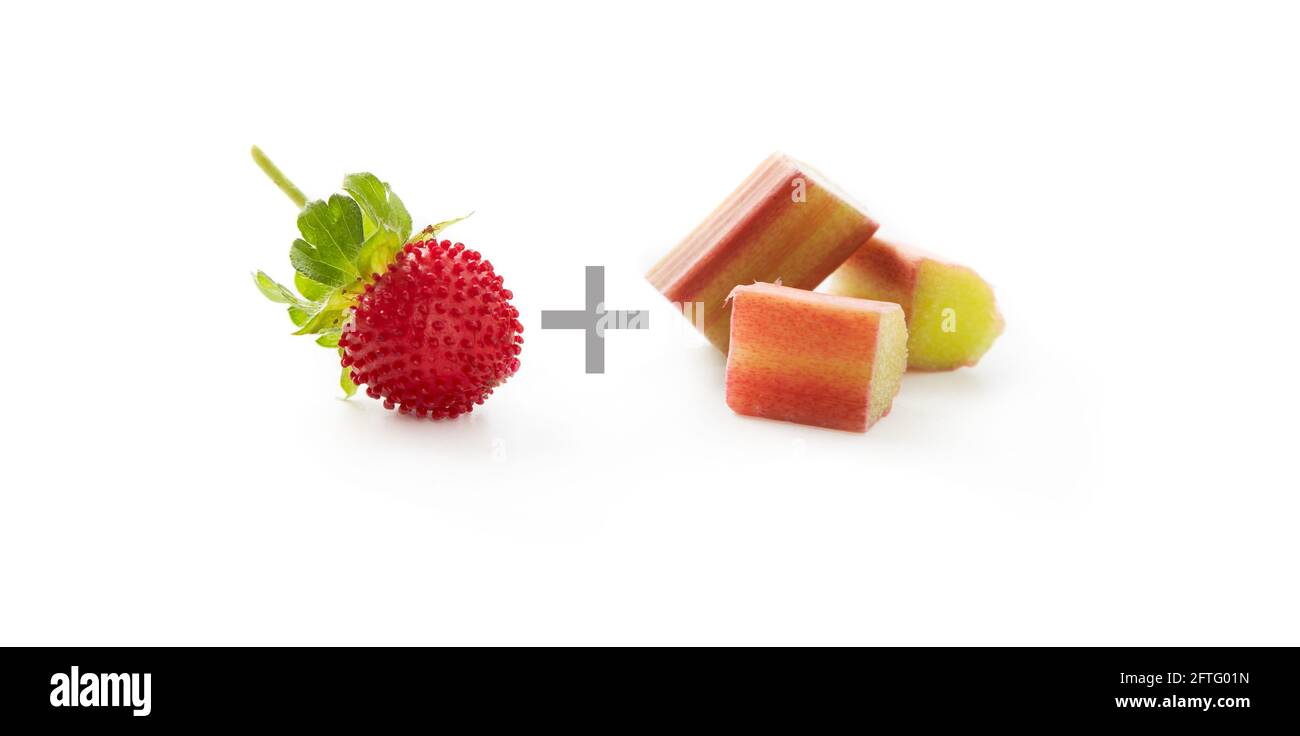 Strawberry + Rhubarb Stock Photo