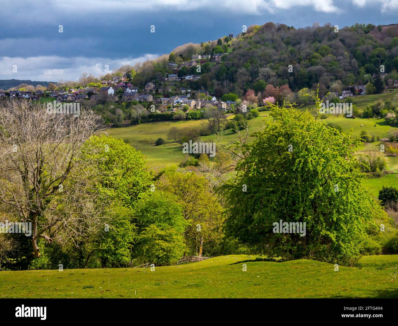 View over fields towards Starkholmes village from Matlock Bath in the Derbyshire Dales Peak District England UK with trees in spring colour. Stock Photo