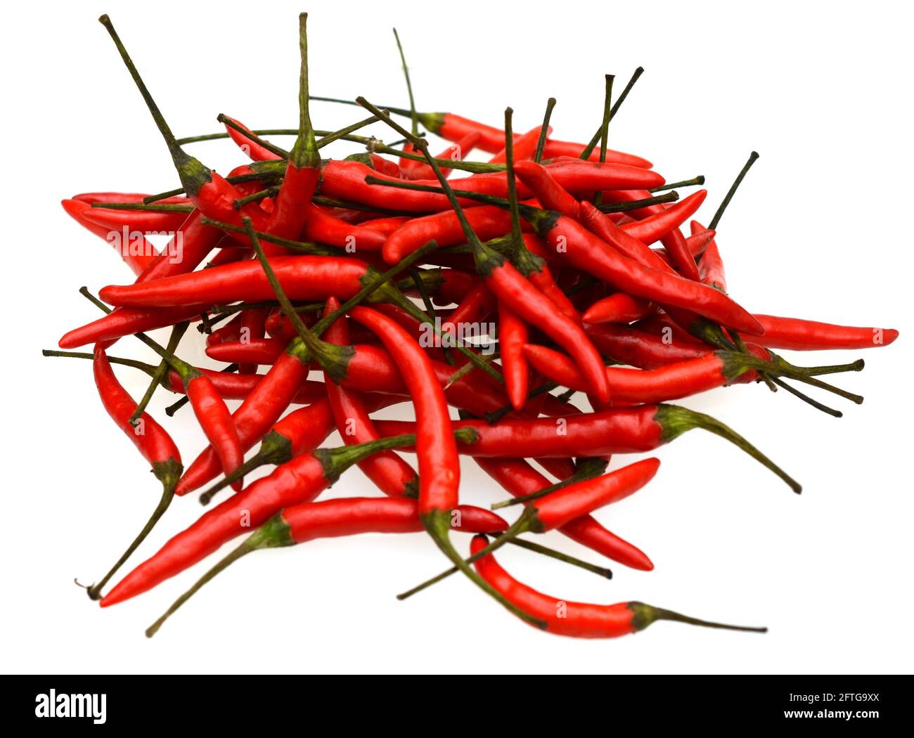 Chilli chillies chillis hot Cut Out Stock Images & Pictures - Alamy