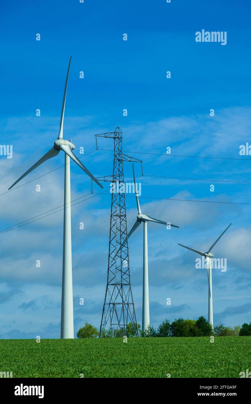 Wind turbines and electricity pylon - Vienne (86), France. Stock Photo