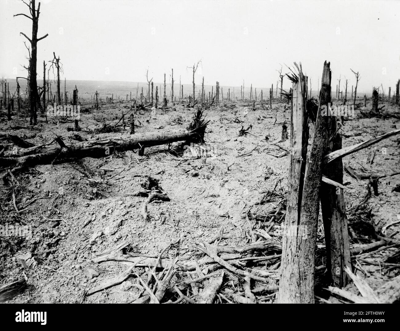 World War One, WWI, Western Front - Destruction in Delville Wood, Longueval, Somme Depatrment, Hauts-de-France, France Stock Photo