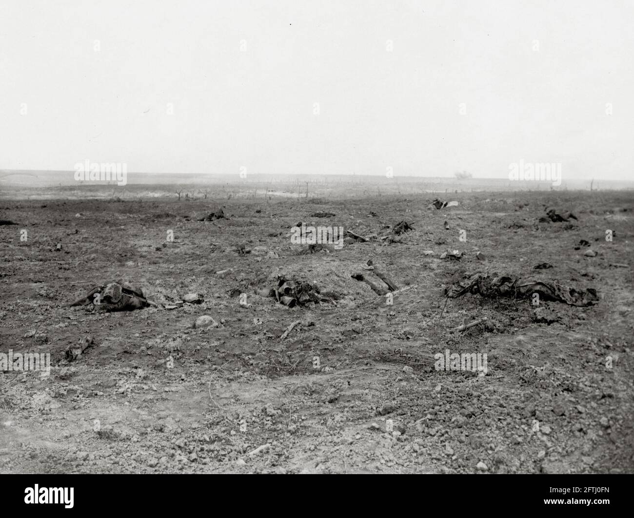 World War One, WWI, Western Front - View on the battlefield in front of  Guillemont, Somme Department, Hauts-de-France, France Stock Photo