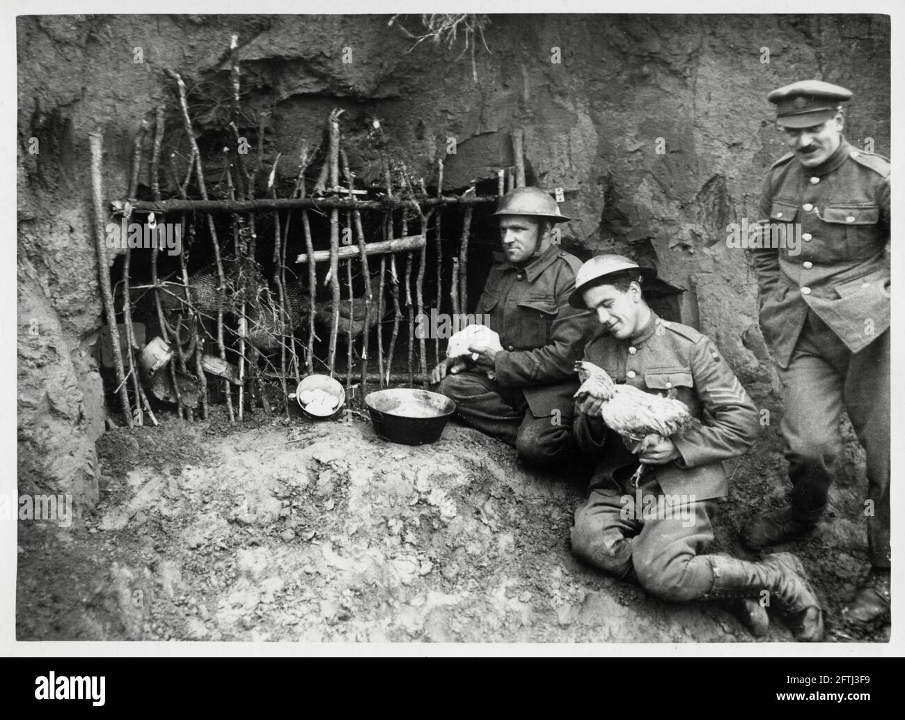 World War One, WWI, Western Front - Troops with a chicken in the trenches, fresh eggs every day, France Stock Photo