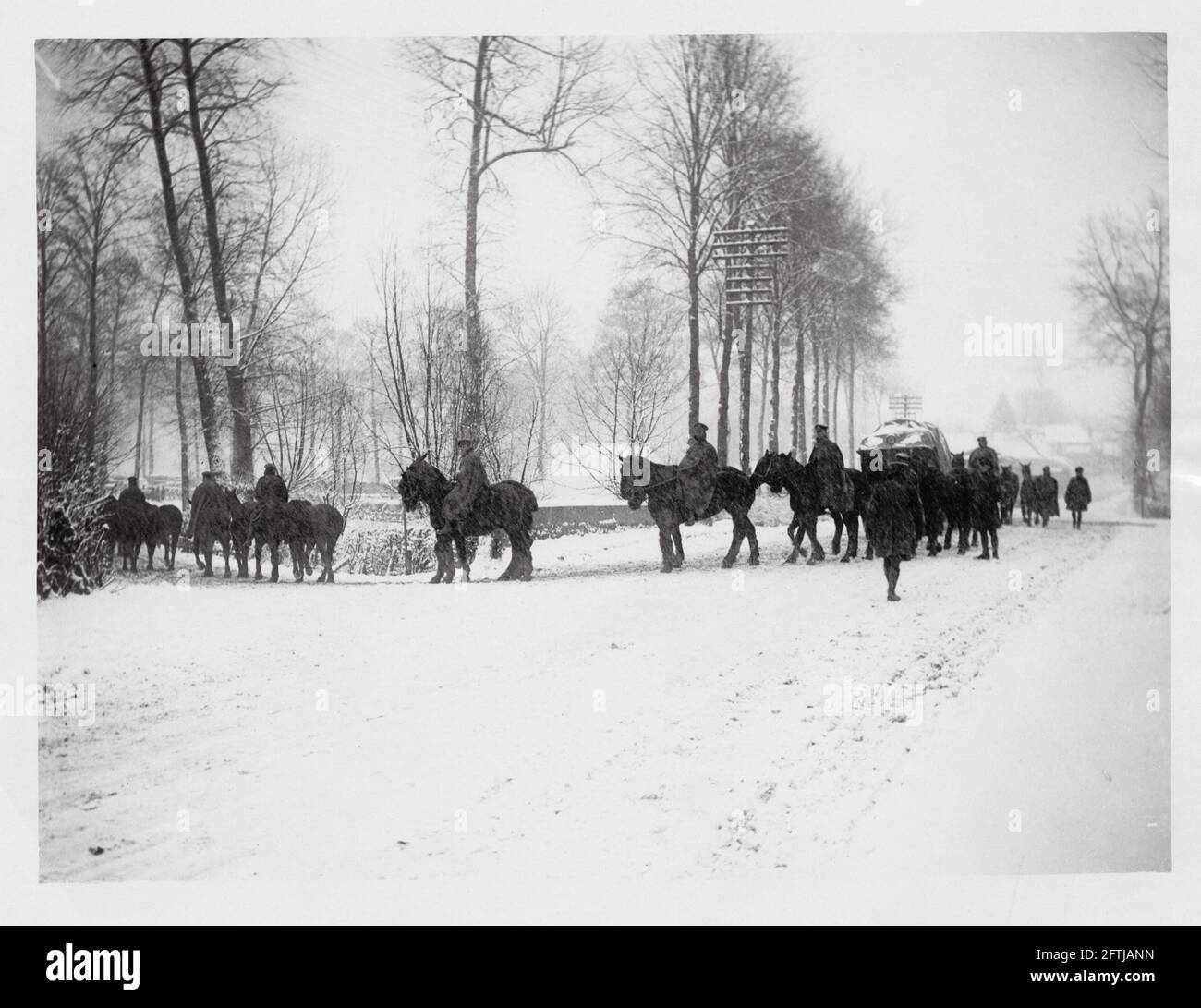 World War One, WWI, Western Front - Transport horses going for water in the snow, France Stock Photo