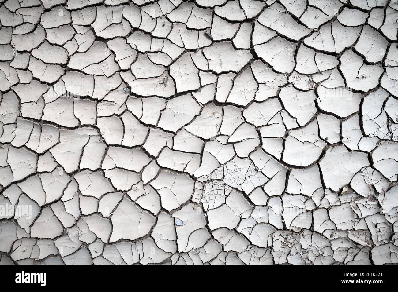 Cracked land texture close up Stock Photo