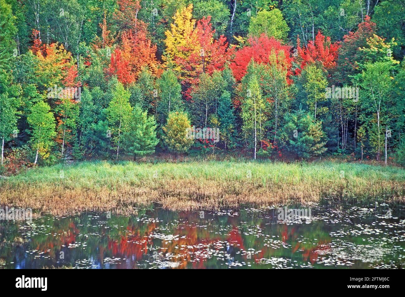 Killarney fall colors, Ontario, Canada Stock Photo Alamy