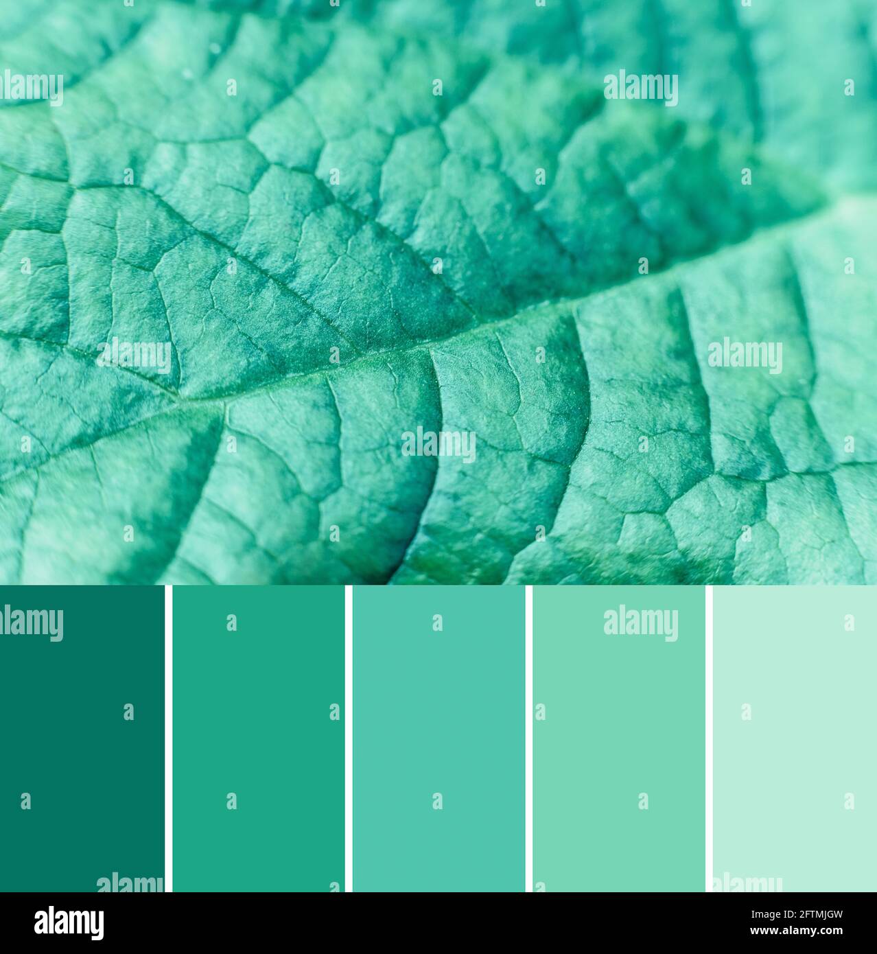 Tone2020 hires stock photography and images Alamy