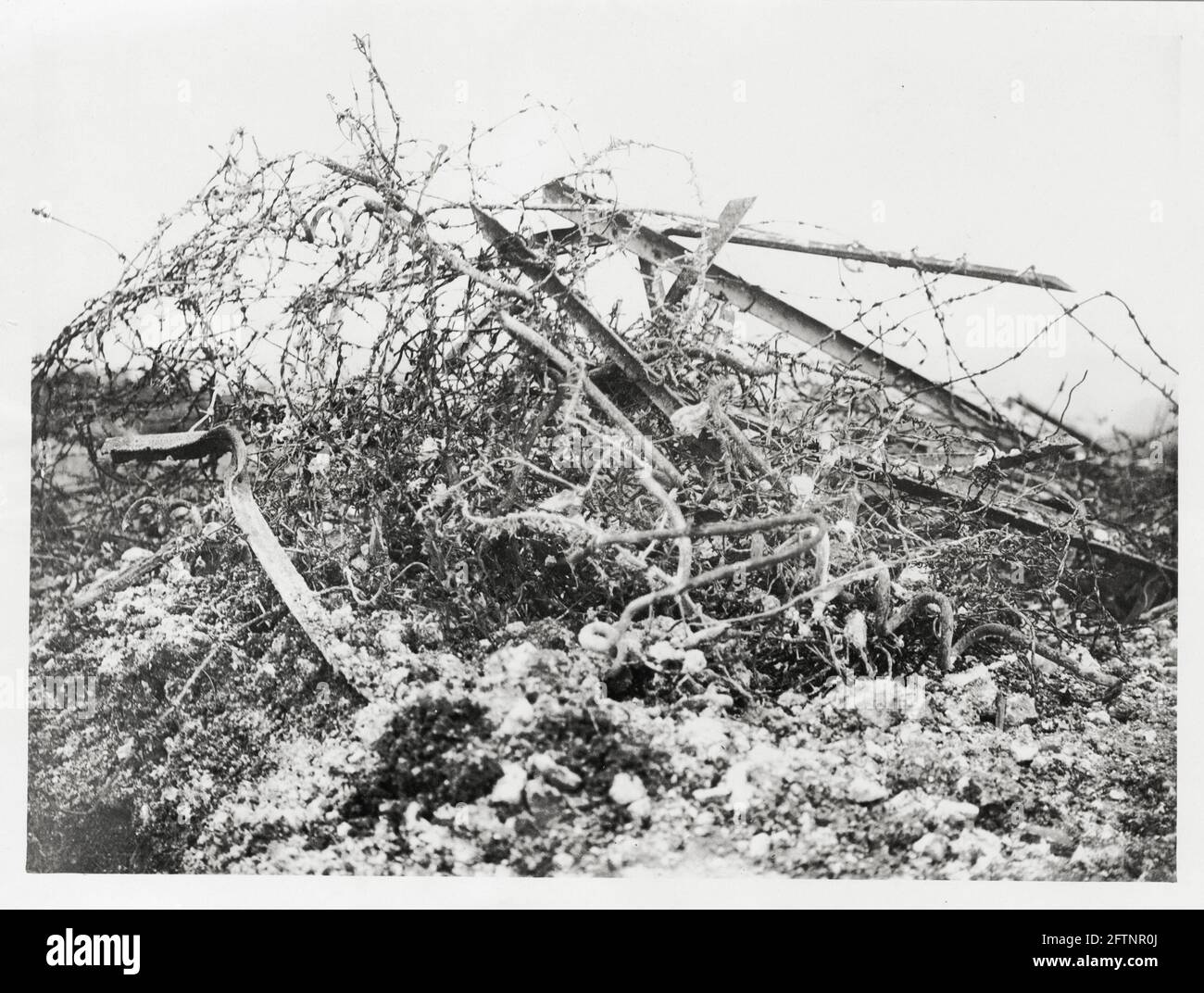World War One, WWI, Western Front - German barbed wire that artillery have to break up before infantry can advance, Beaucourt-sur-l'Lancre, Somme Department, Hauts-de-France, France Stock Photo