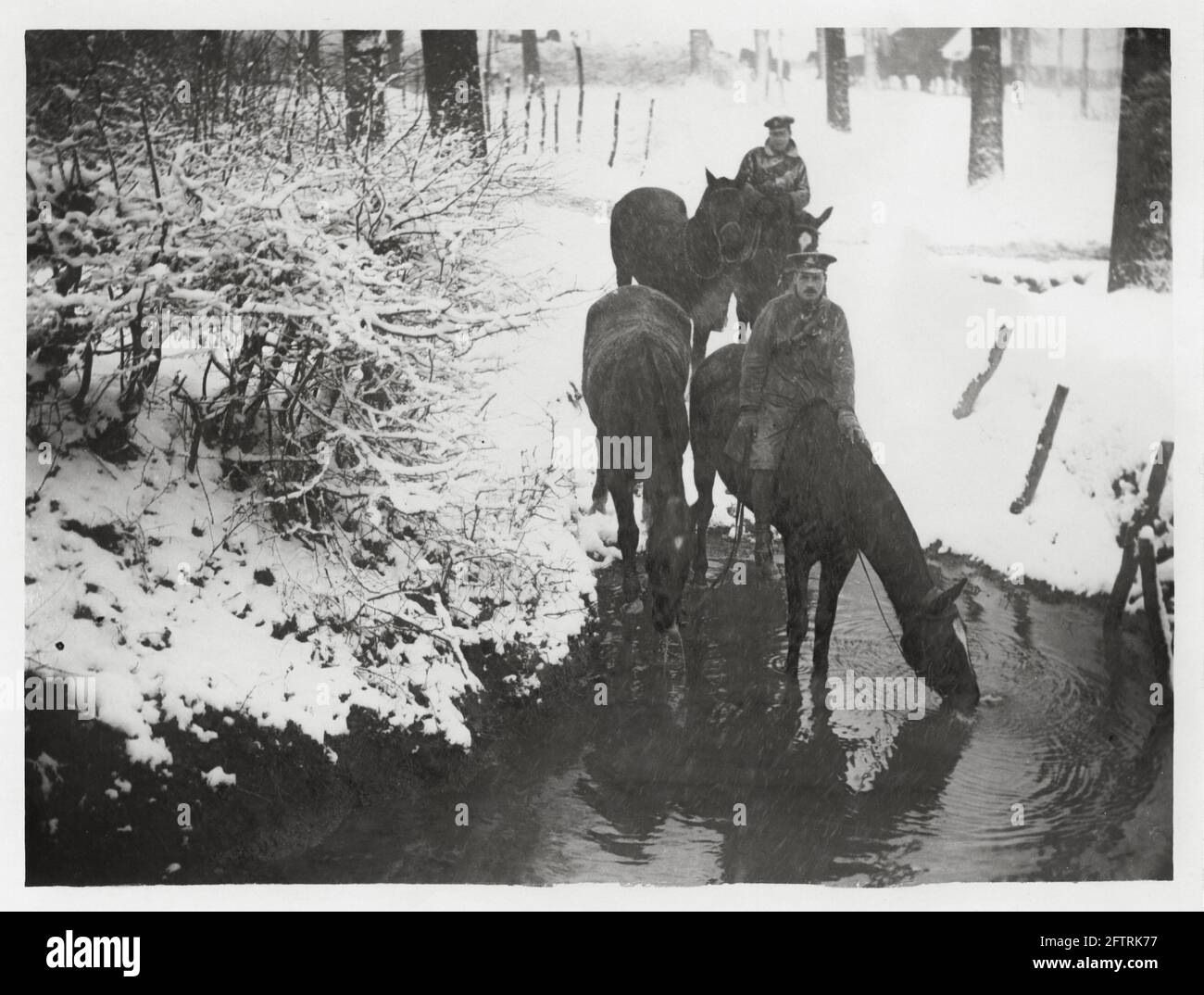 World War One, WWI, Western Front - British soldiers give their horses a drink from a stream in snow, France Stock Photo