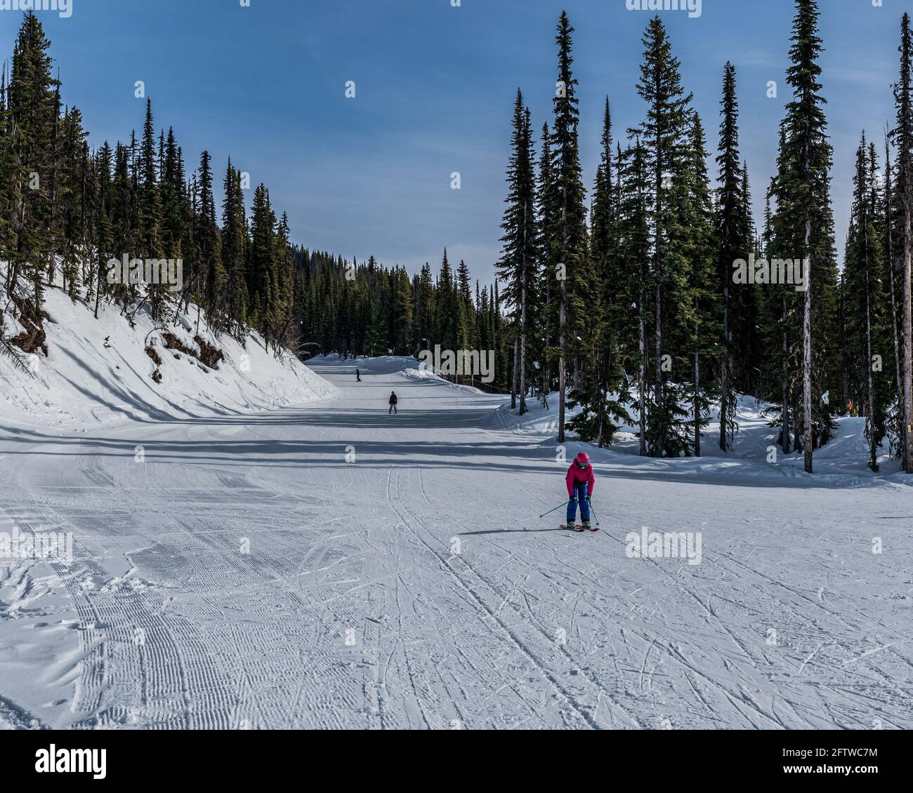 REVELSTOKE, CANADA - MARCH 17, 2021: people skiing downhill on newly-fallen snow ski resort Stock Photo