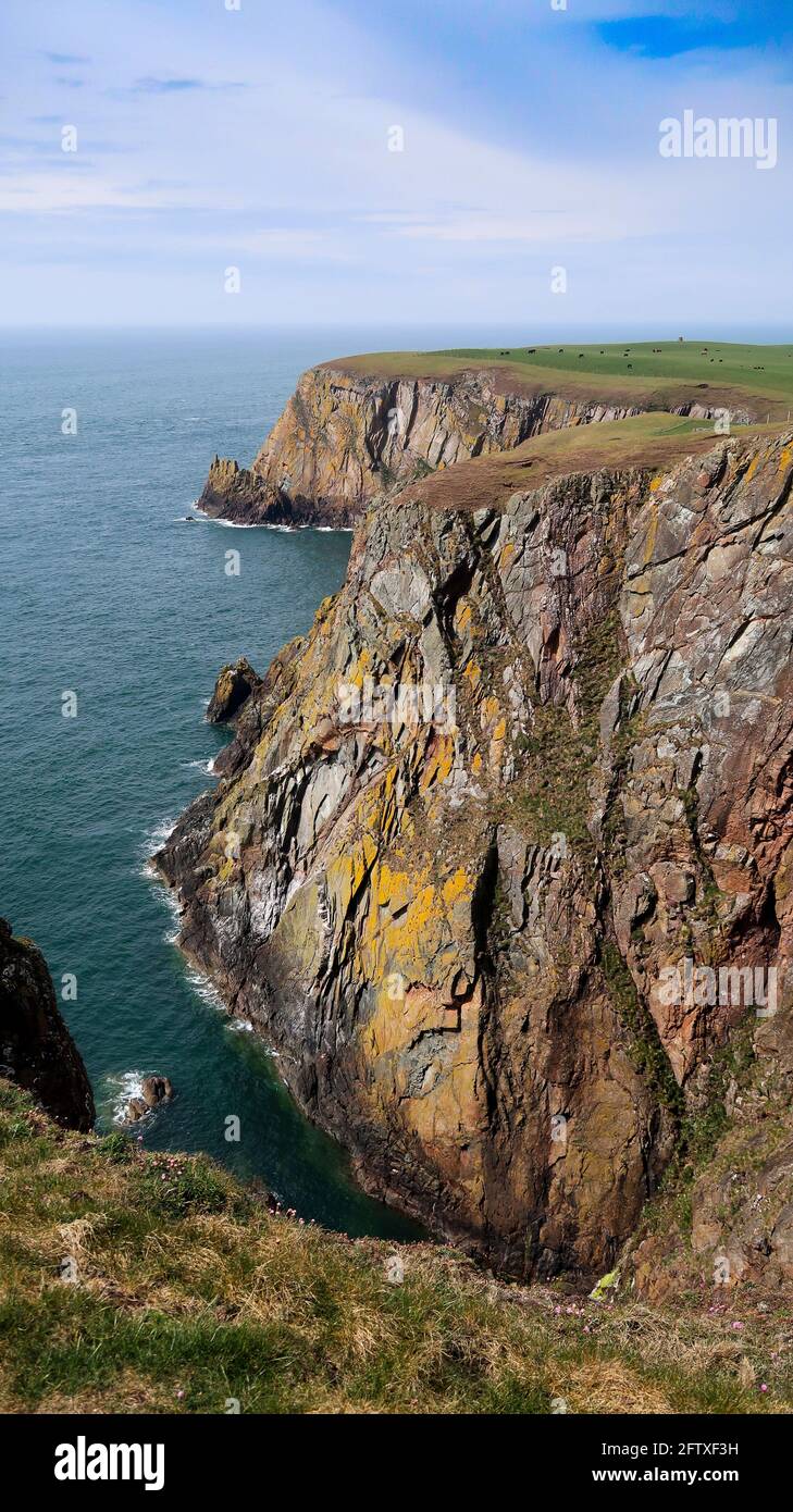 Cliffs near Mull of Galloway lighthouse Stock Photo