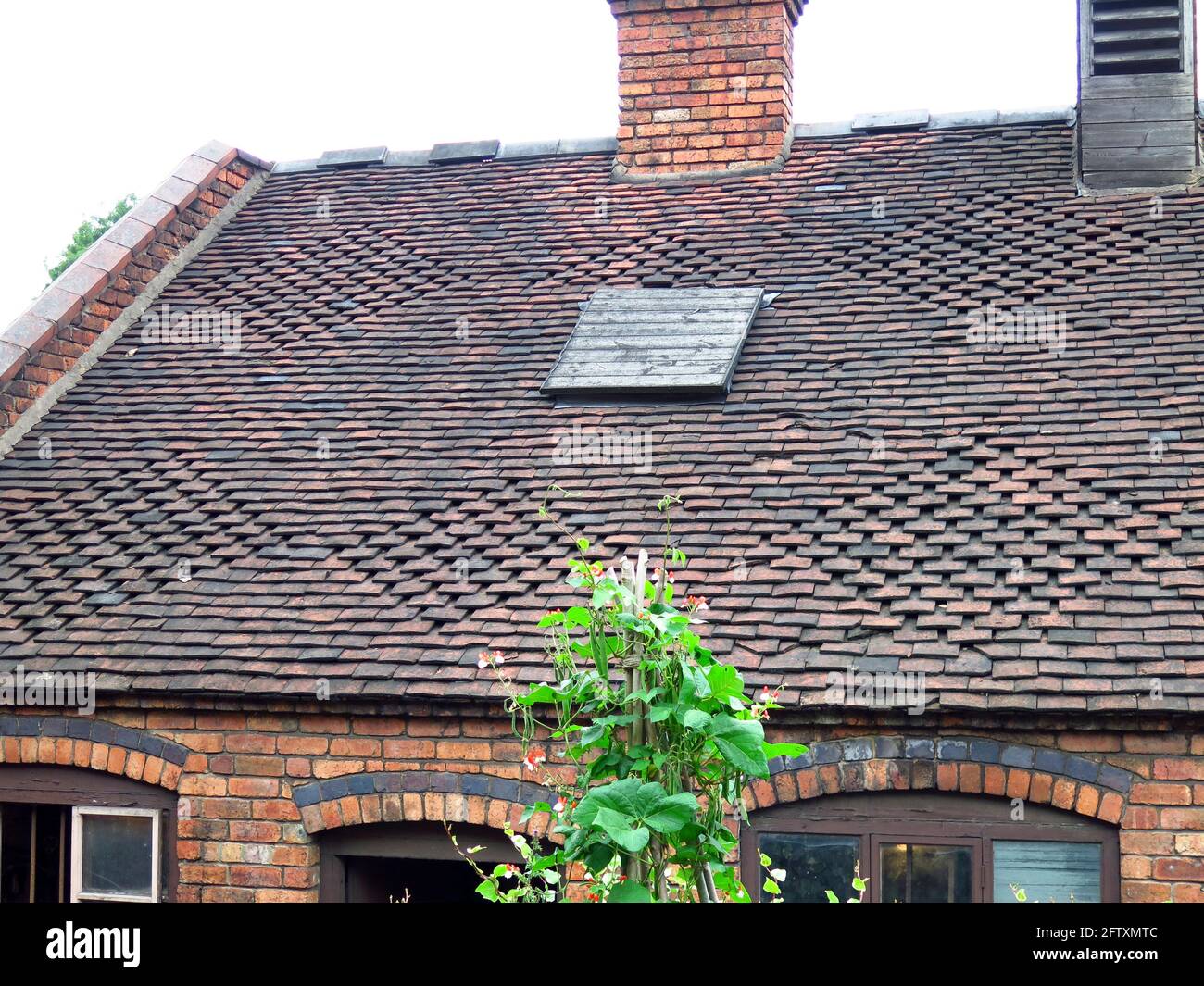 Diamond pattern roof tiles hi-res stock photography and images - Alamy