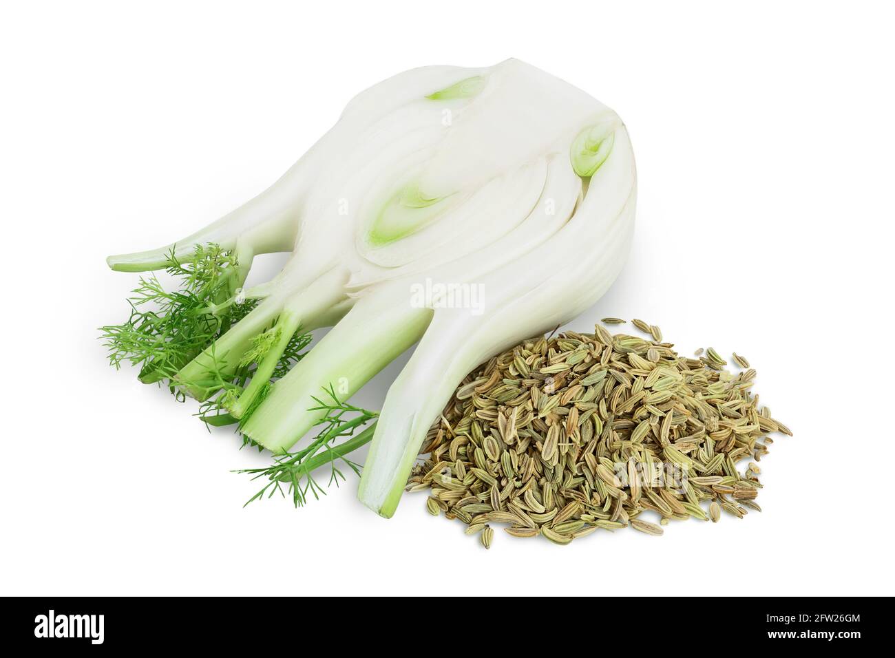 Fennel Bulb And Fennel Seeds at Etheridge blog