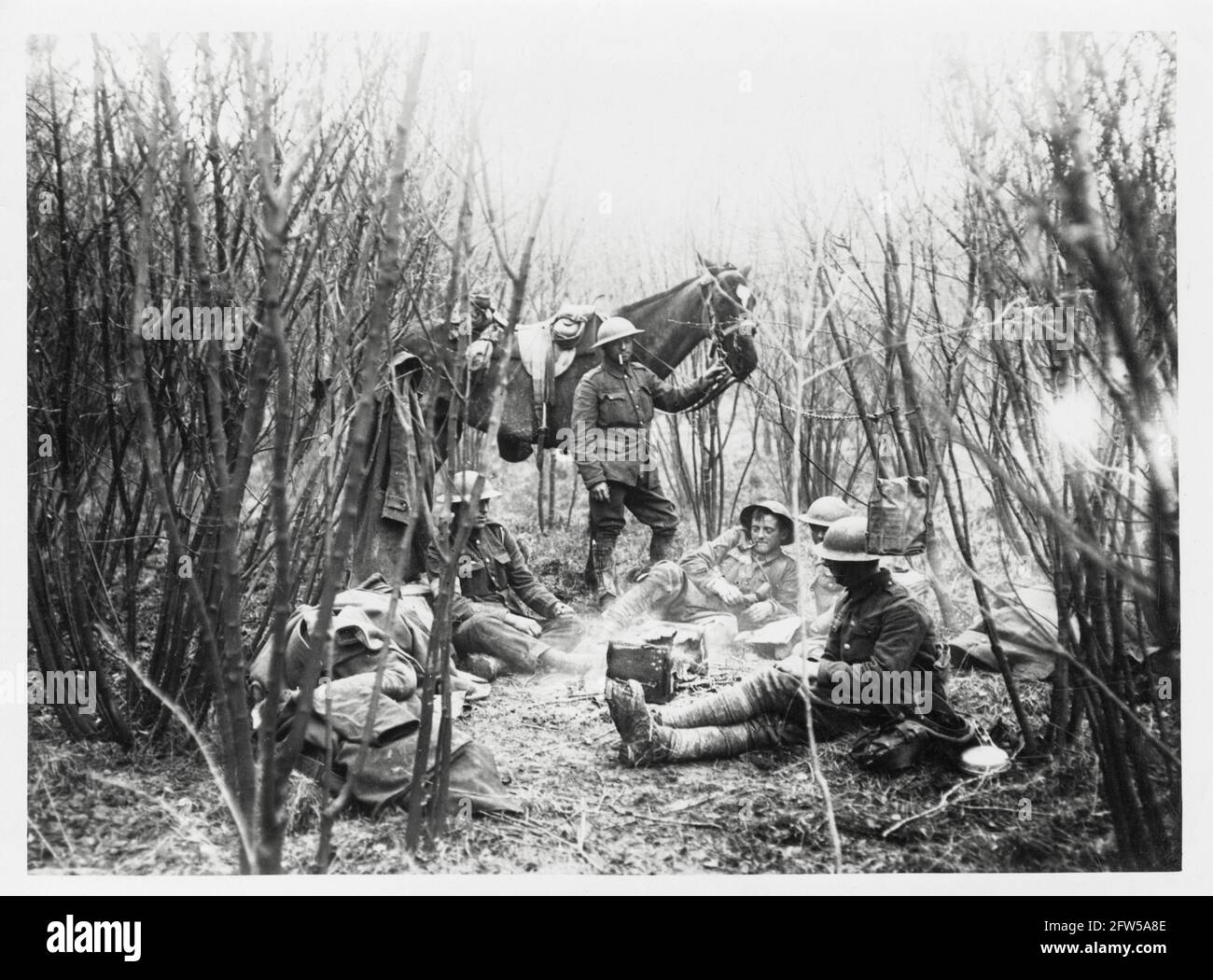 World War One, WWI, Western Front - Artillerymen and horse resting in a copse near their guns, France Stock Photo