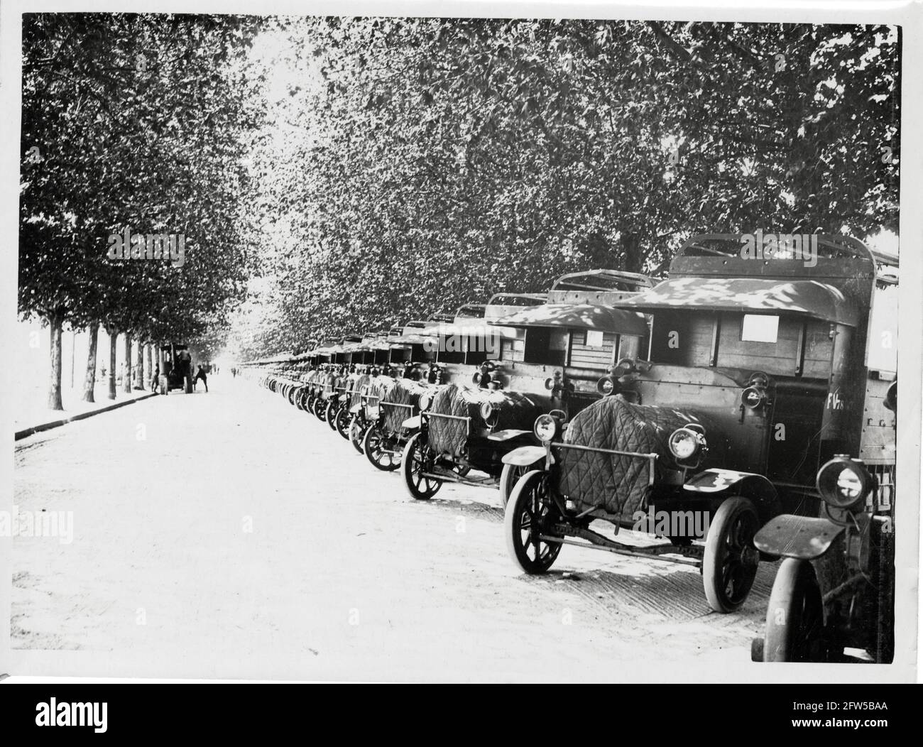 World War One, WWI, Western Front - A line-up of motor transport Stock Photo