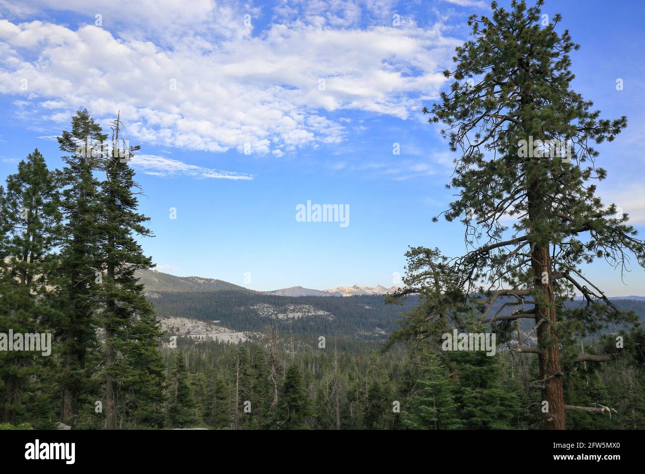 On the way to Yosemite national park near half dome, California USA Stock Photo