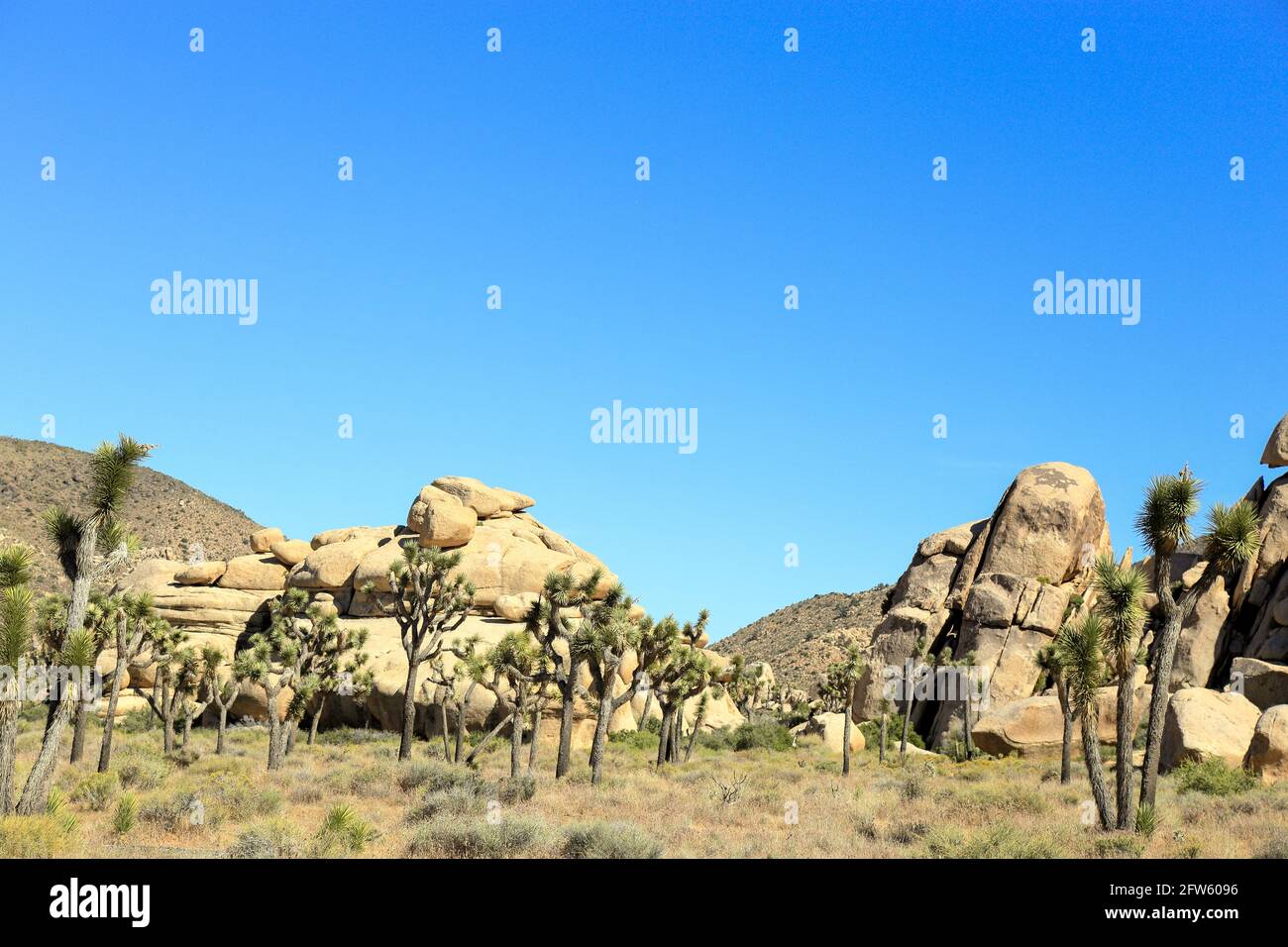 A huge mound of rocks and Joshua trees at Joshua tree national park Stock Photo