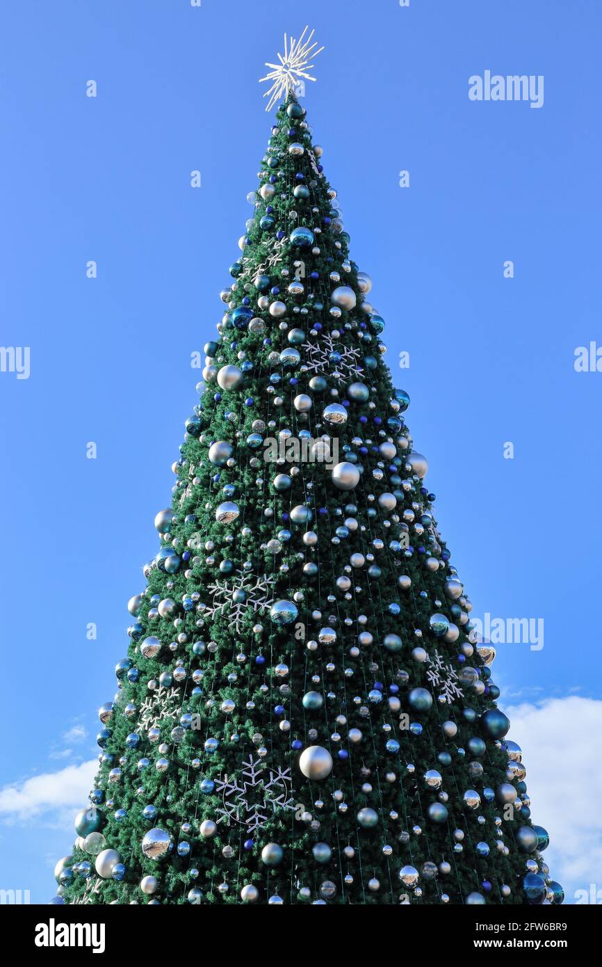 Large outdoor christmas tree hi-res stock photography and images - Alamy