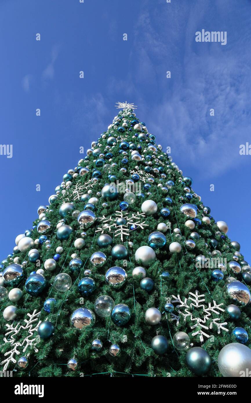 Outdoor christmas tree hi-res stock photography and images - Alamy