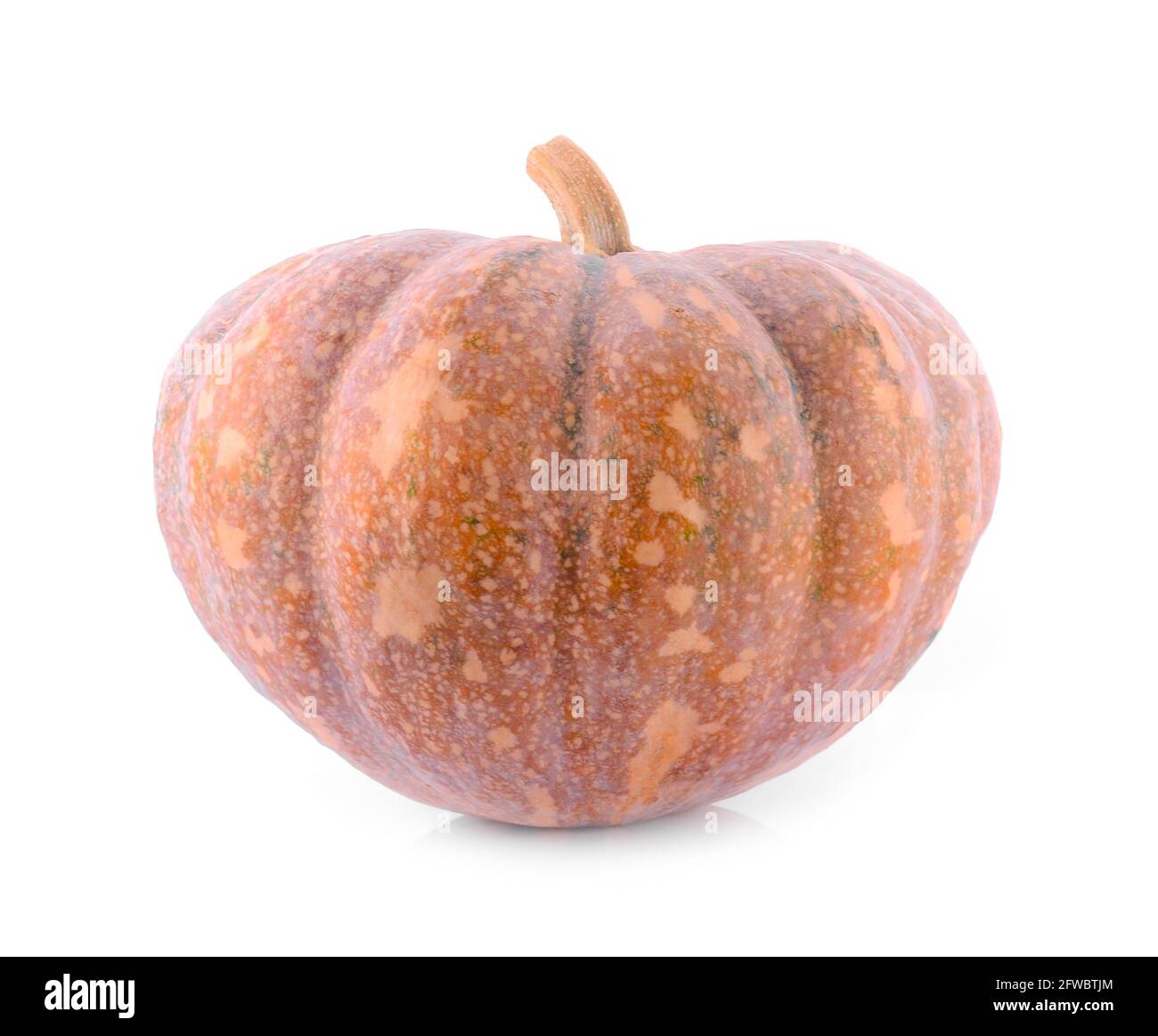 pumpkin isolated on white background Stock Photo - Alamy