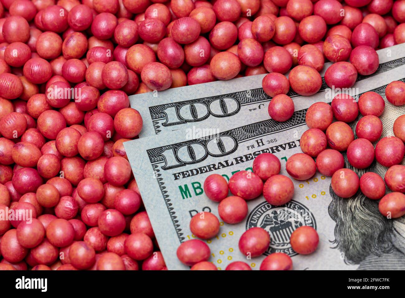 Closeup of treated soybean seed and cash money. Soybean seed treatment for insect, fungus control and disease management concept Stock Photo