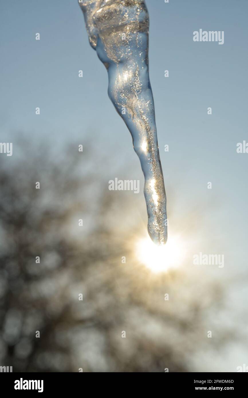 Icicle on a cold winter morning, with sun on the background at the tip; concept of sun's effect on climate Stock Photo