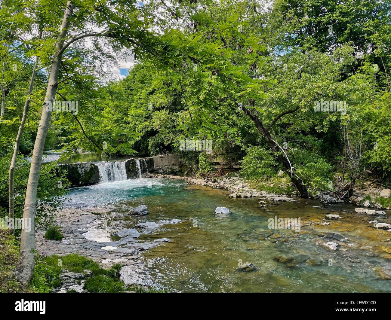 A river with a small cascade of water flows between the trees of a forest on a sunny day Stock Photo