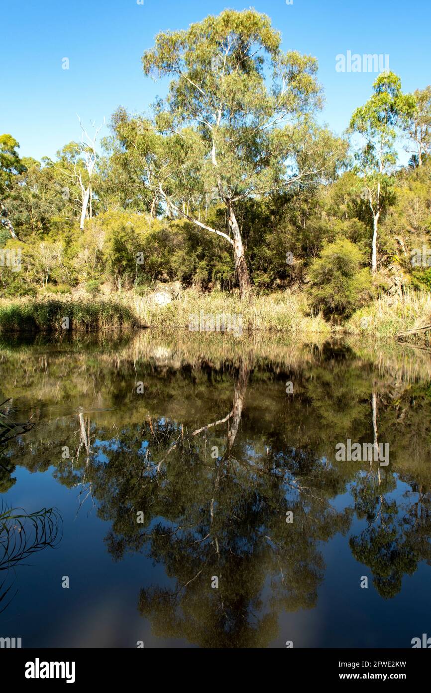 Yarra River Reflections, Jumping Creek Reserve, North Warrandyte, Victoria, Australia Stock Photo
