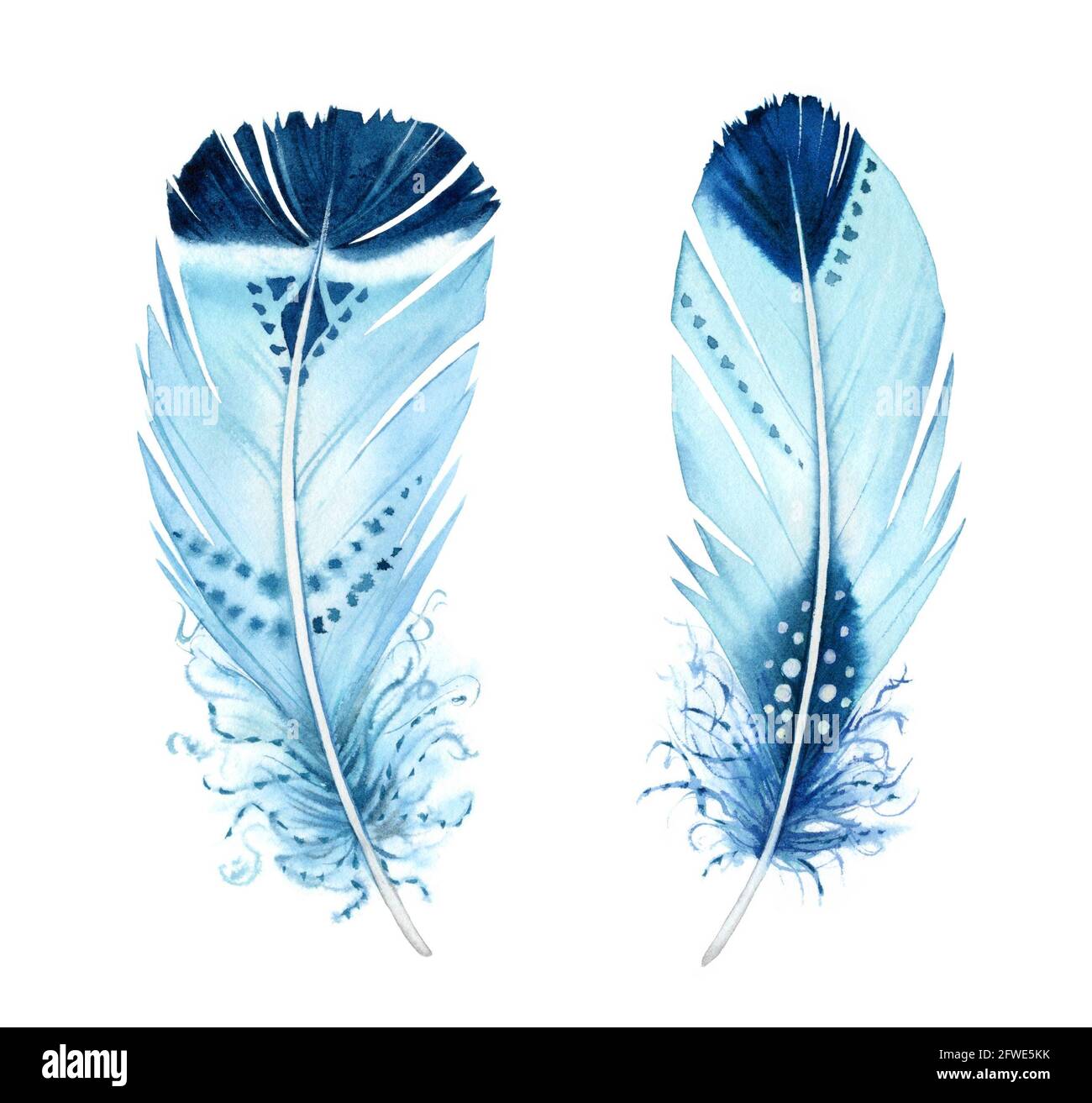 Watercolor feather set. Realistic painting with vibrant turquoise ornaments. Boho style illustration isolated on white Stock Photo