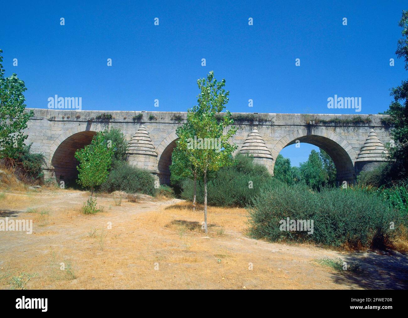 Retamar Hi res Stock Photography And Images Alamy retamar-hi-res-stock-photography-and-images-alamy