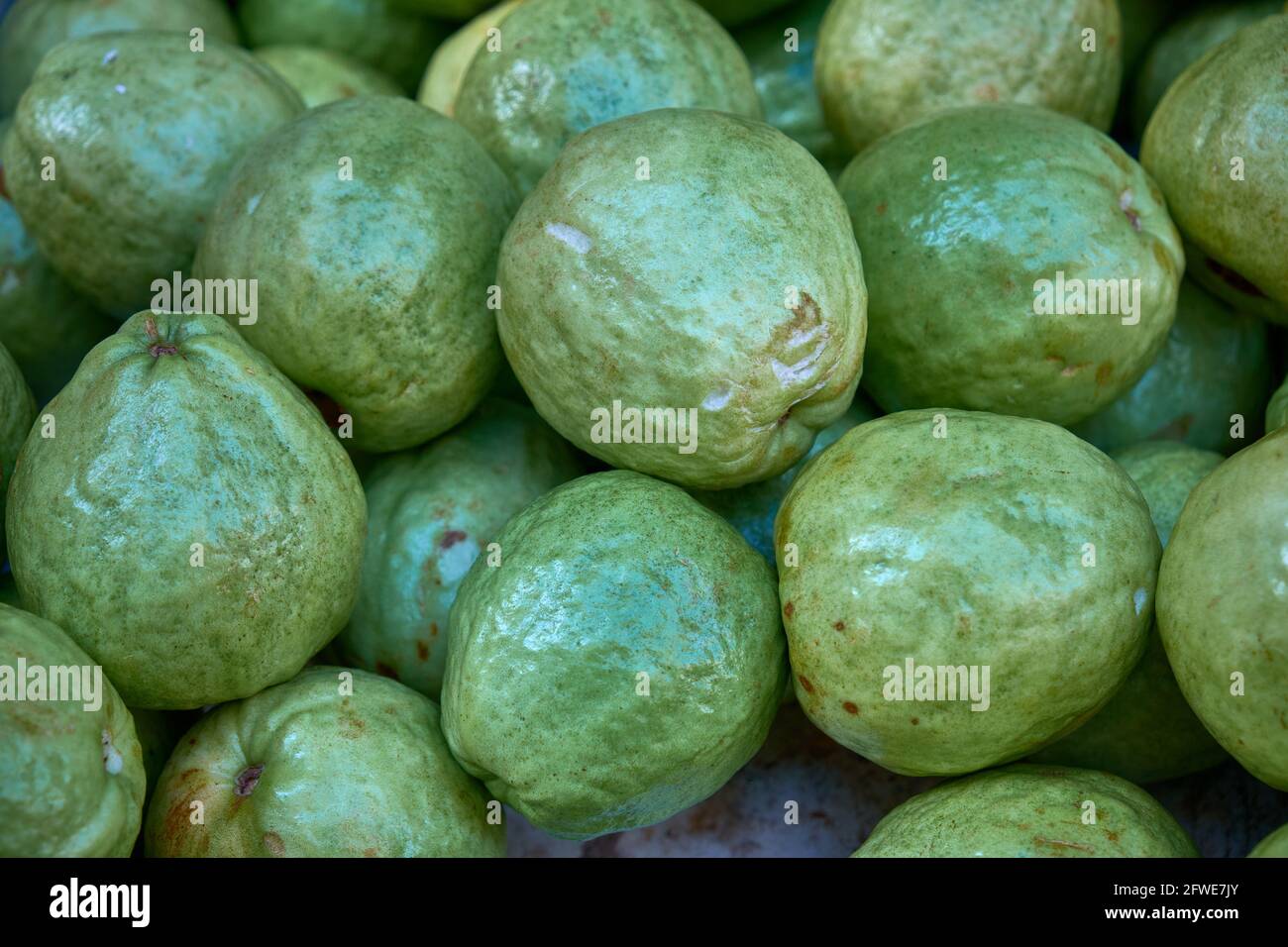 HONG KONG - Close up details of a supply of guavas taken at fresh produce market in Hong Kong Stock Photo