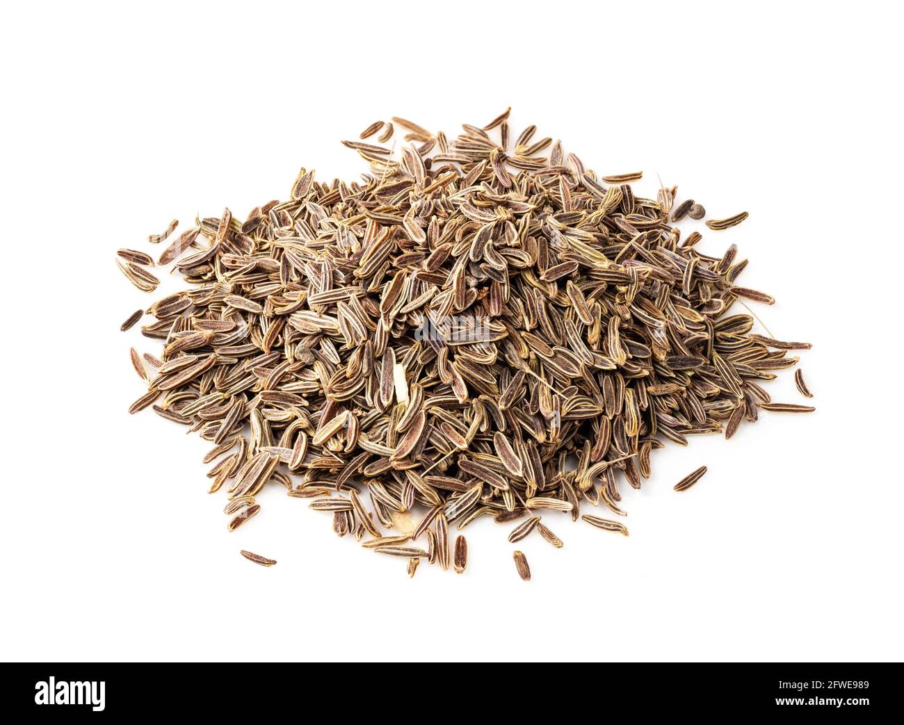 Elwendia persica hires stock photography and images Alamy