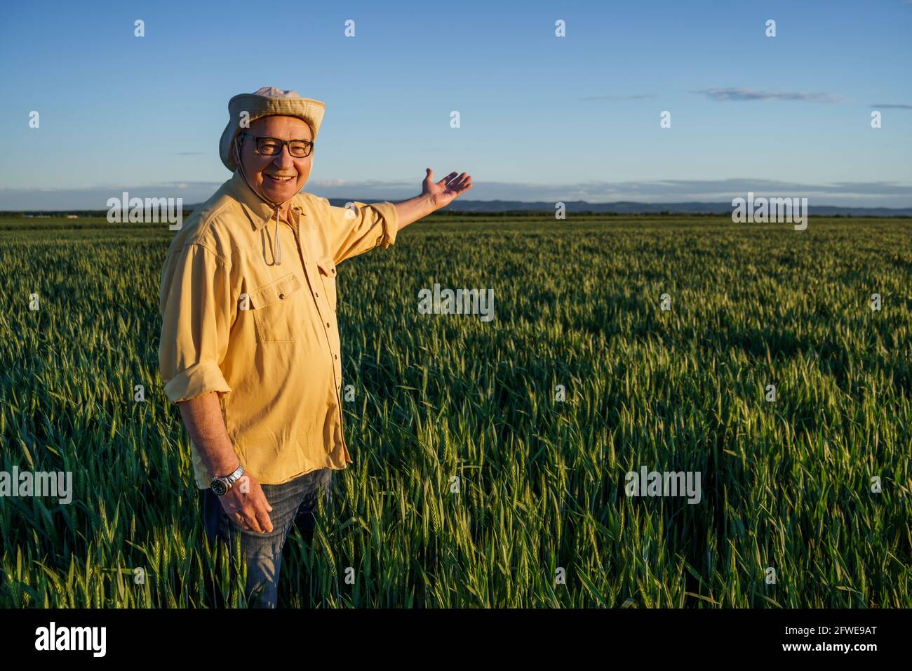 Senior farmer is standing in his growing wheat field. He is happy ...