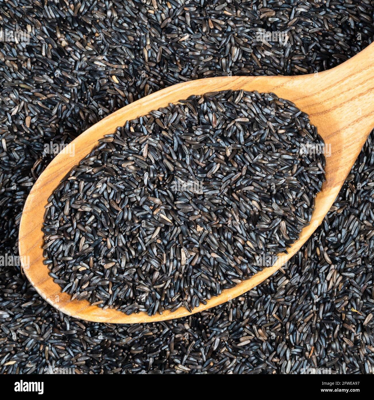 top view of niger seeds (Guizotia Abyssinica) in wood spoon closeup Stock Photo