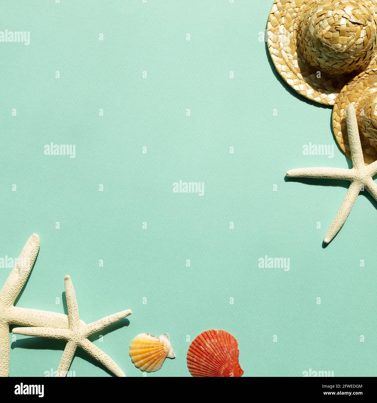 Decoration with starfish and driftwood hi-res stock photography and images  - Alamy