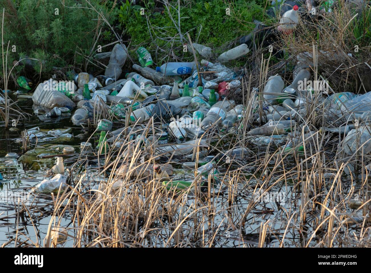 Karaganda, Kazakhstan, 15.05.2021. plastic bottles, glass bottles and cans on the shore of the reservoir. Environmental pollution concept, ecology. So Stock Photo