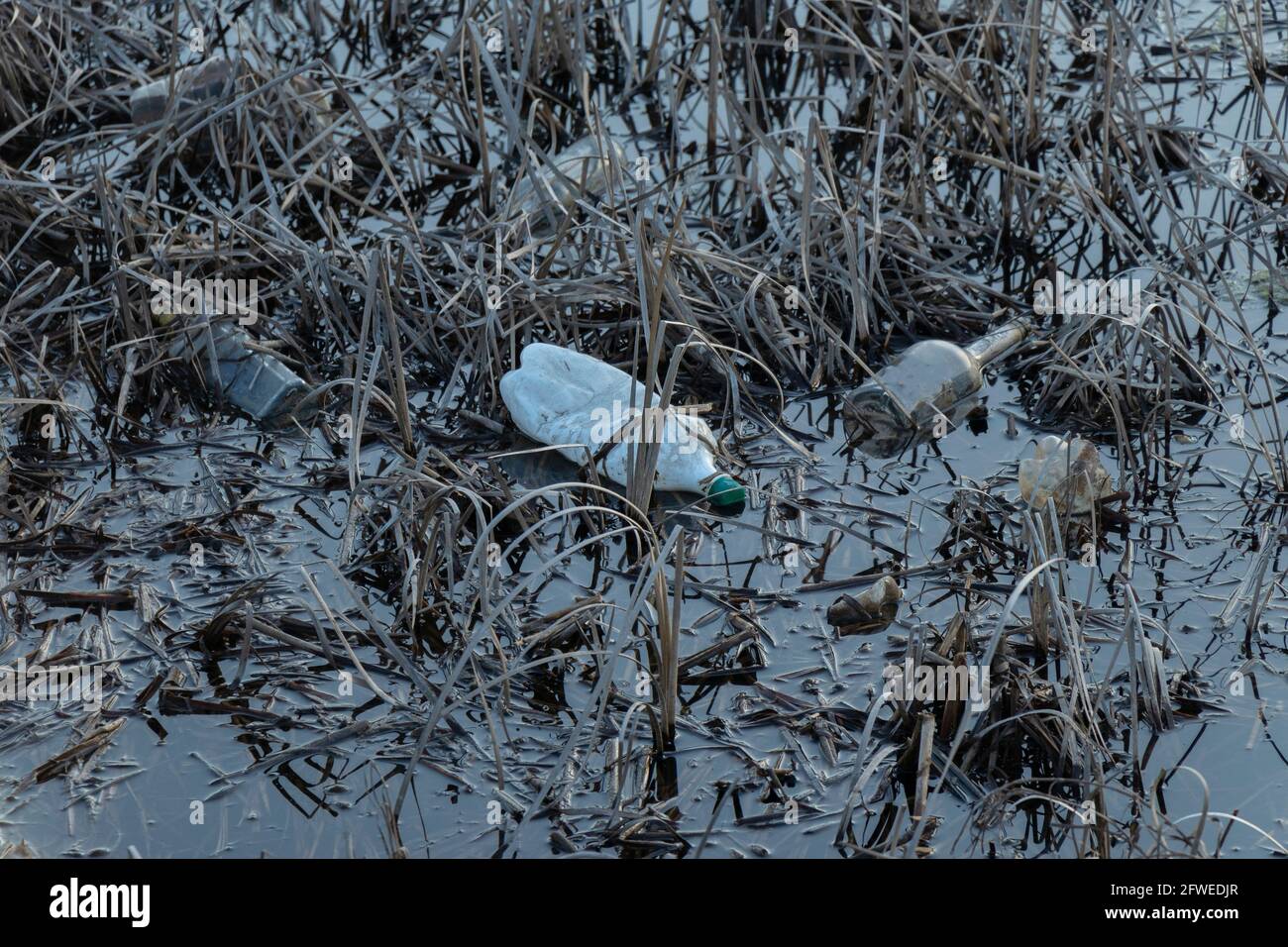Different bottles plastic glass hi-res stock photography and images - Alamy
