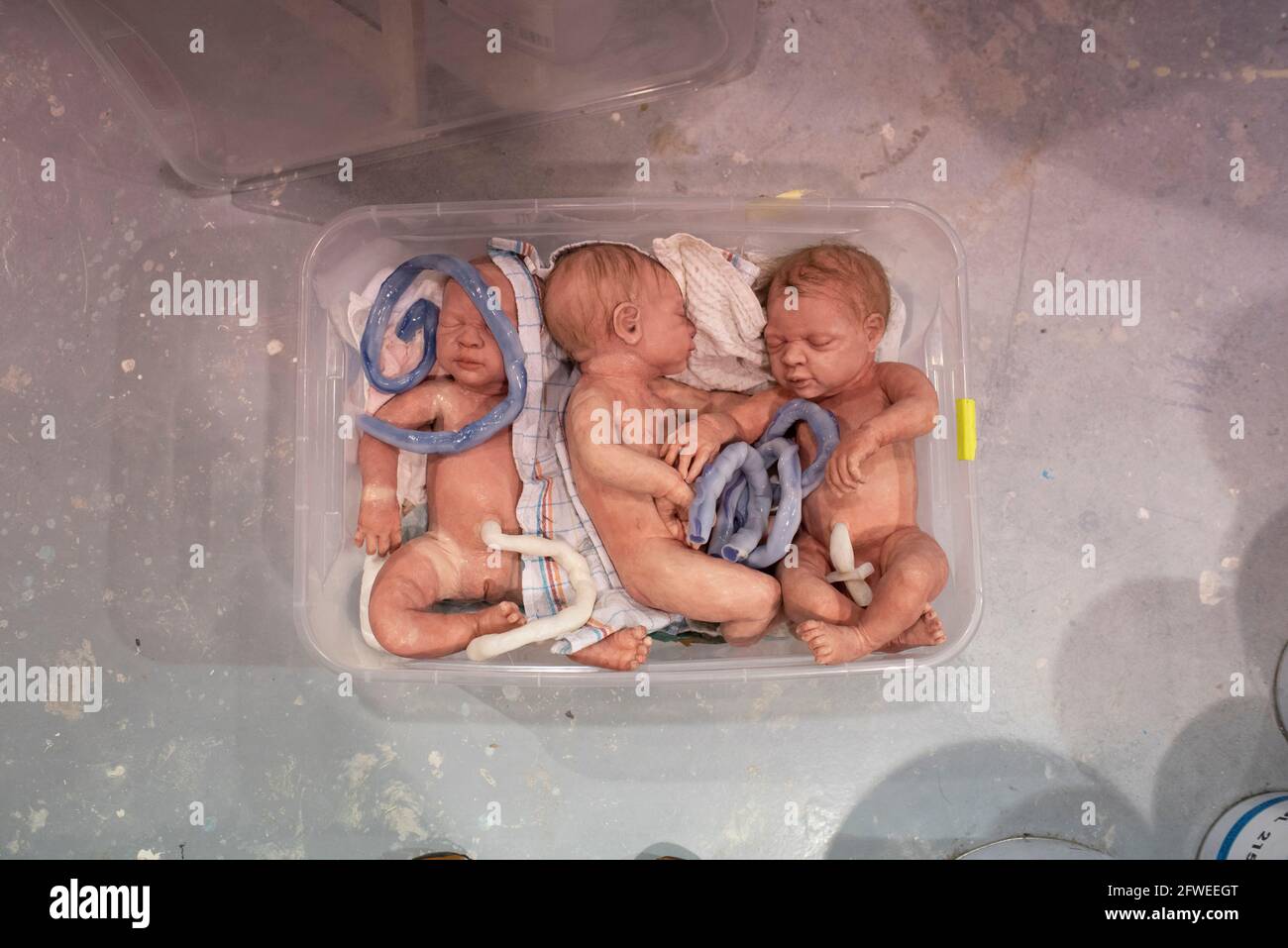 France, Paris, 2019-12-11. Ciné-bébé is a workshop specialized in hyper-realistic replicas of babies for the cinema. They make babies and newborns for Stock Photo