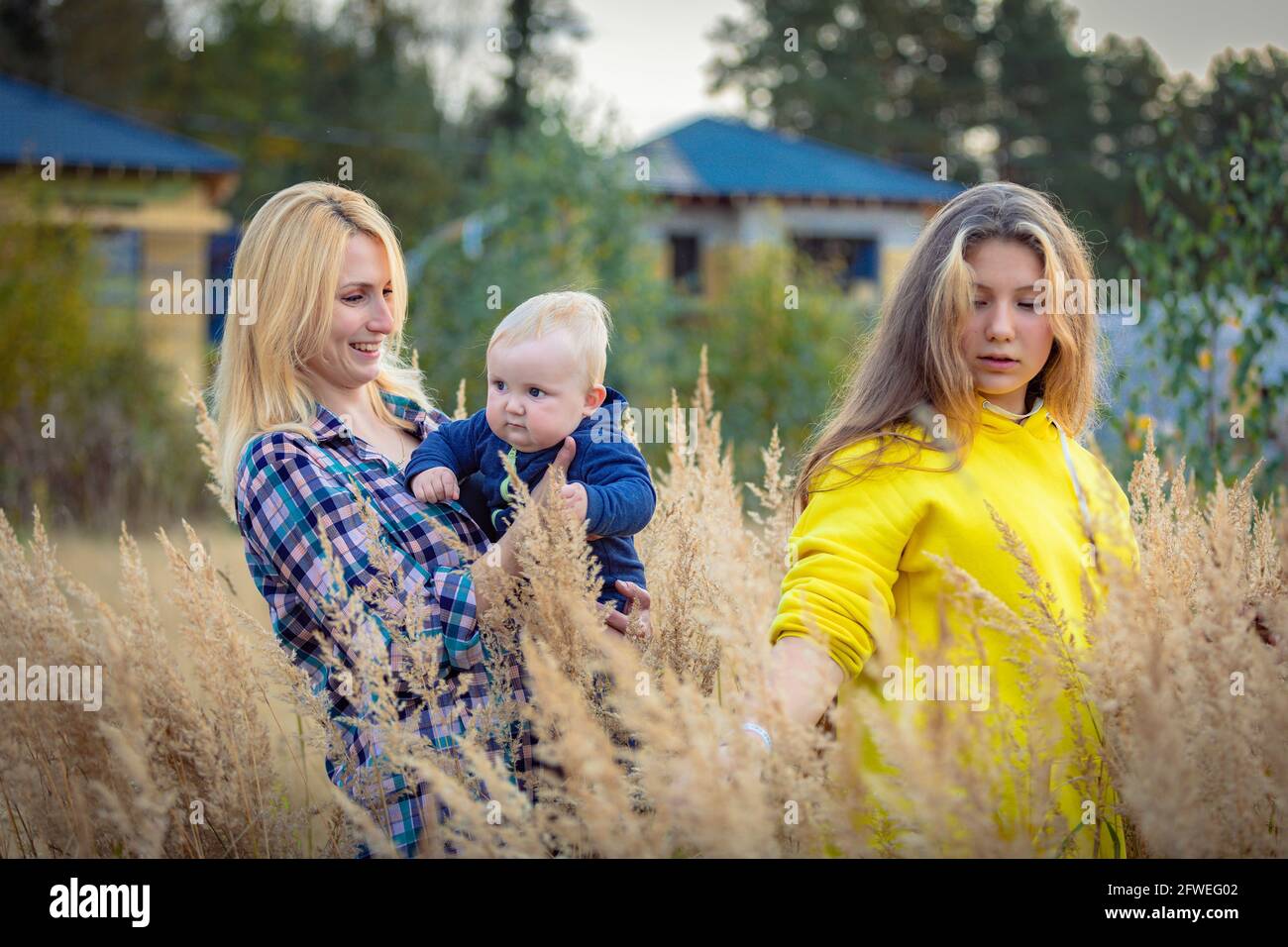 A young mother walks with her children in a field with tall grass. Mom holds the boy in her arms. A happy family Stock Photo